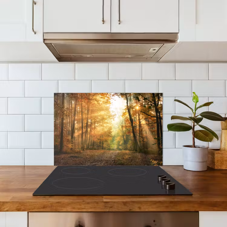 Bos - Herfst - Zon - Landschap - Natuur - Bomen - Bladeren keuken achterwand spatscherm klein -sfeer2