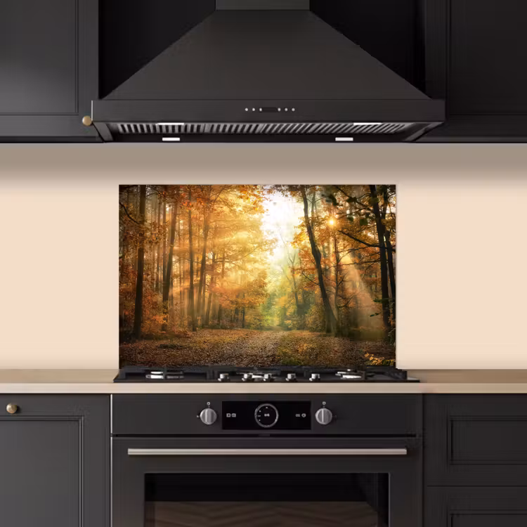 Bos - Herfst - Zon - Landschap - Natuur - Bomen - Bladeren keuken achterwand spatscherm klein -sfeer1