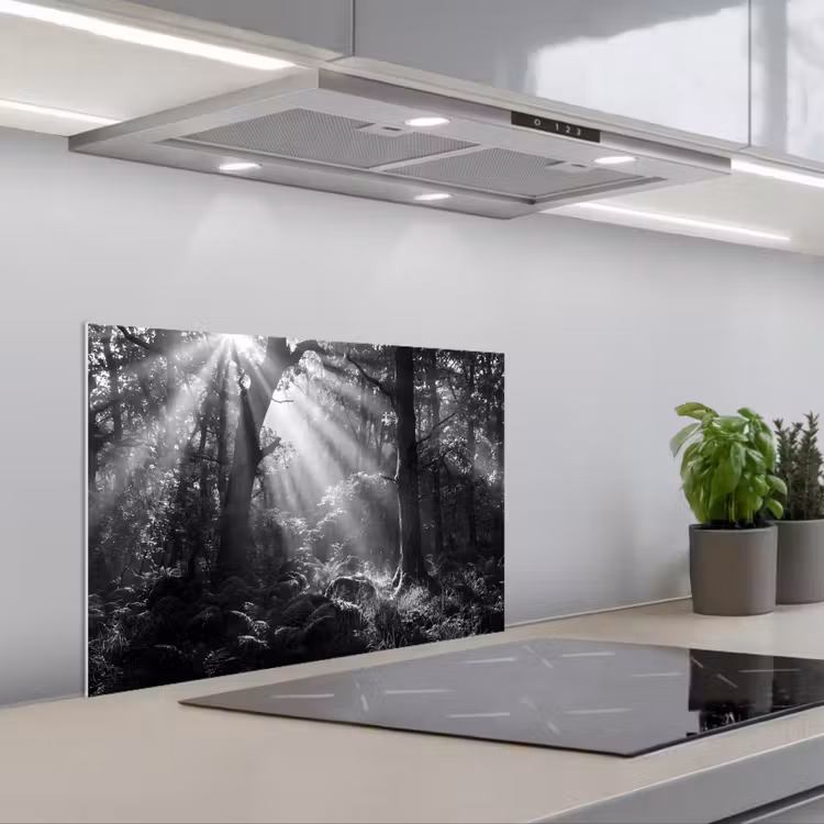 Bos - Lichtstralen - Natuur - Zwart-wit keuken achterwand spatscherm klein -3d_schuin