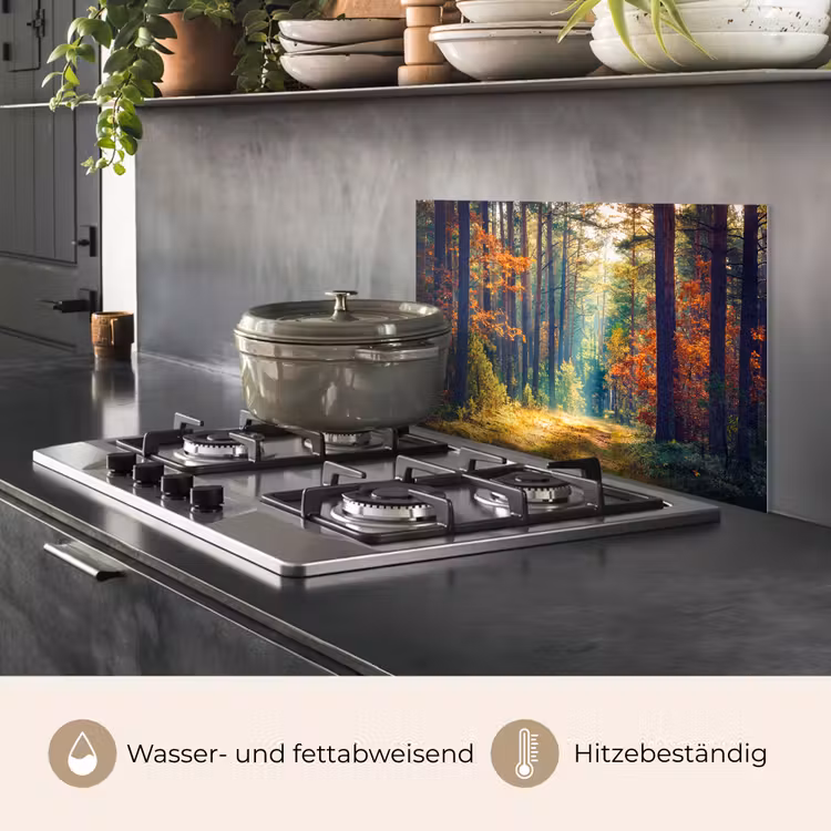 Bos - Zon - Natuur - Herfst keuken achterwand spatscherm klein -usp_DE