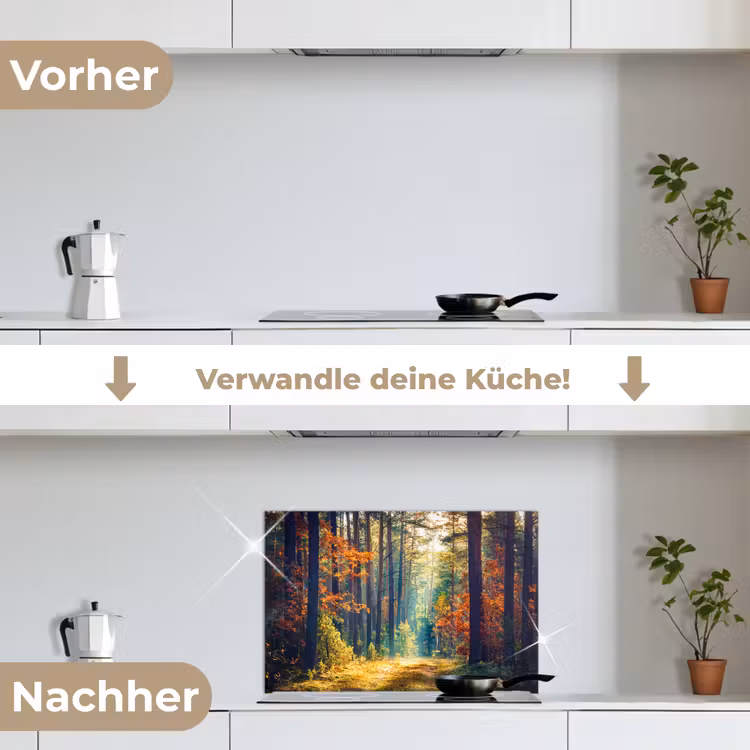 Bos - Zon - Natuur - Herfst keuken achterwand spatscherm klein -voor_na_DE