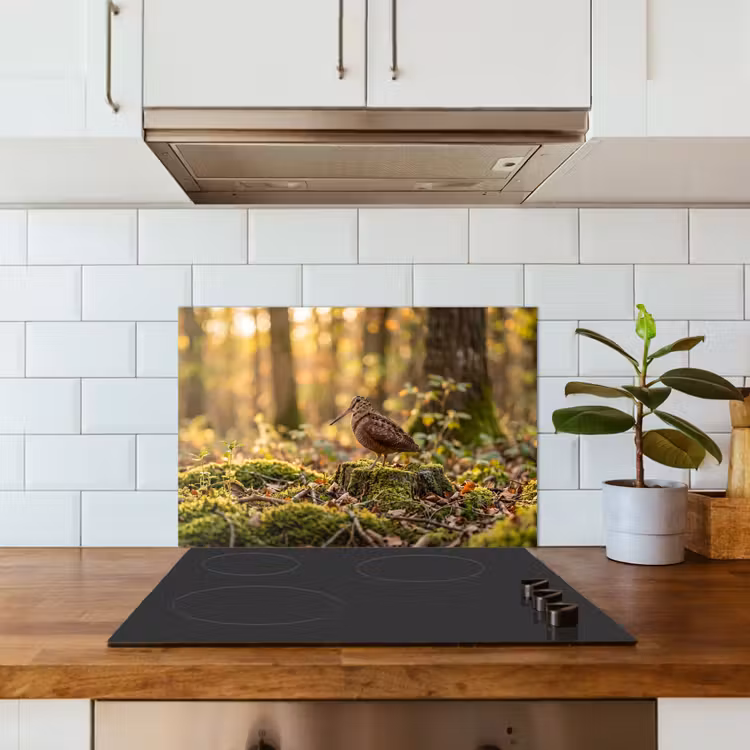 Houtsnip - Bos - Bladeren - Herfst - Gecamoufleerd keuken achterwand spatscherm klein -sfeer2
