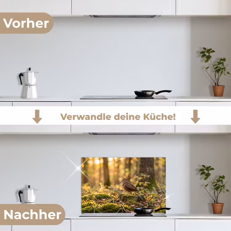 Houtsnip - Bos - Bladeren - Herfst - Gecamoufleerd keuken achterwand spatscherm klein -voor_na_DE