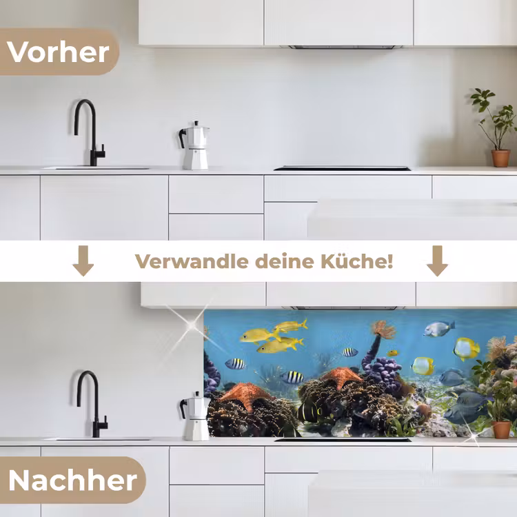 Water - Koralen - Vissen - Lichtinval keuken achterwand 2 middel -voor-na_DE