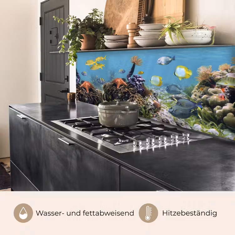 Water - Koralen - Vissen - Lichtinval keuken achterwand 2 middel -usp_DE