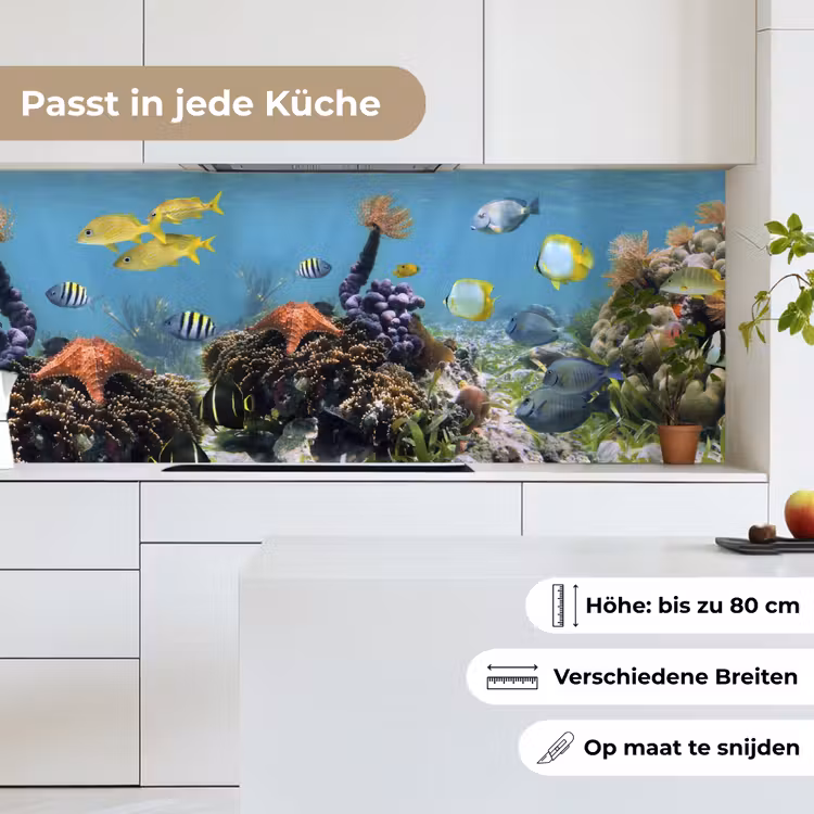 Water - Koralen - Vissen - Lichtinval keuken achterwand 2 middel -sfeer4_DE