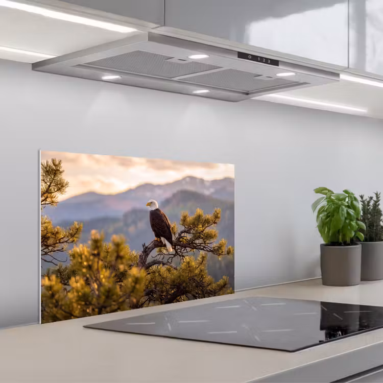 Zeearend - Boom - Bergen - Groen keuken achterwand spatscherm klein -3d_schuin