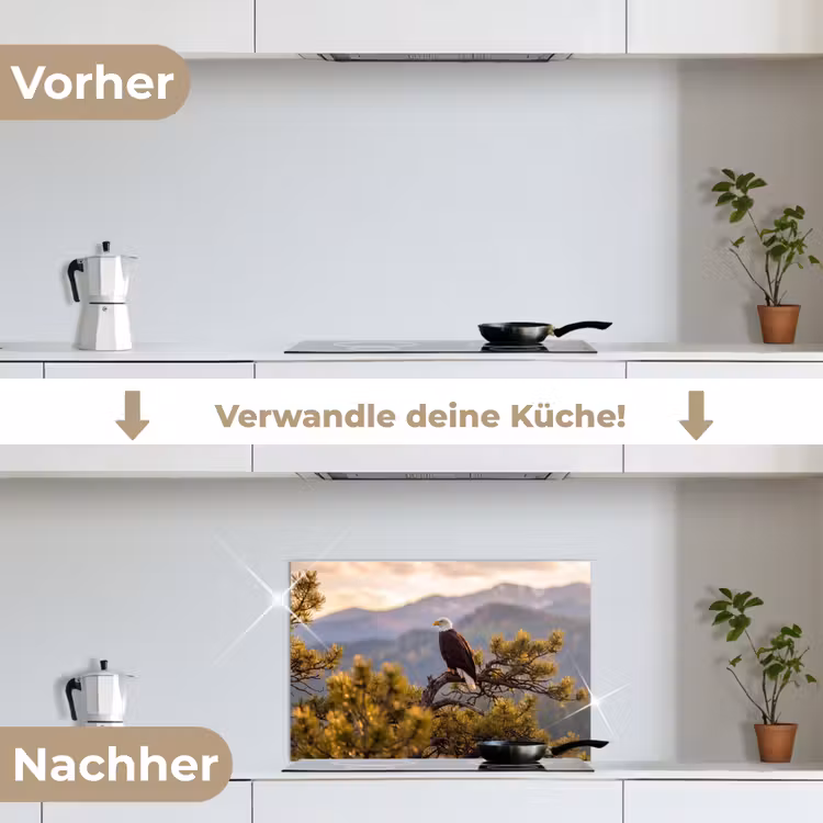 Zeearend - Boom - Bergen - Groen keuken achterwand spatscherm klein -voor_na_DE
