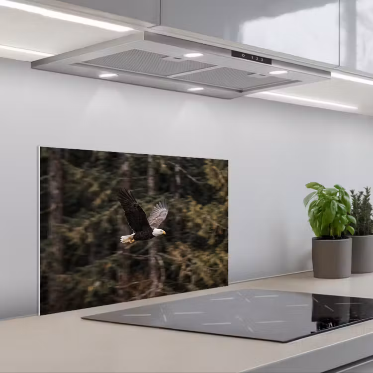 Zeearend - Vliegen - Bos - Natuur keuken achterwand spatscherm klein -3d_schuin