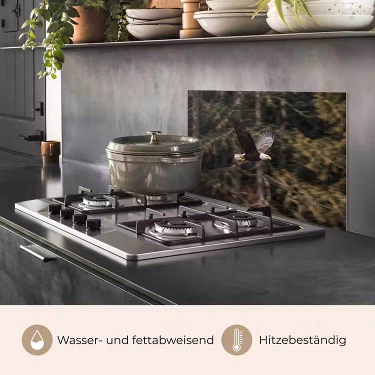 Zeearend - Vliegen - Bos - Natuur keuken achterwand spatscherm klein -usp_DE