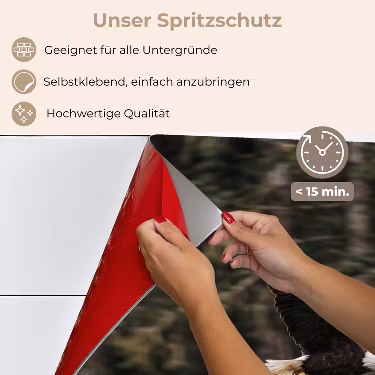 Zeearend - Vliegen - Bos - Natuur keuken achterwand spatscherm klein -spatscherm_DE