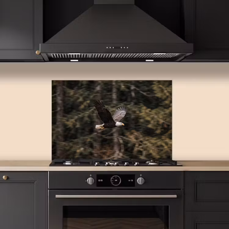 Zeearend - Vliegen - Bos - Natuur keuken achterwand spatscherm klein -sfeer1