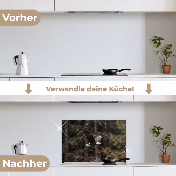 Zeearend - Vliegen - Bos - Natuur keuken achterwand spatscherm klein -voor_na_DE