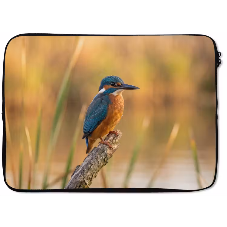 IJsvogel - Tak - Water - Kleurrijk - Levendig laptophoes neopreen klein -zkaufland3dotto