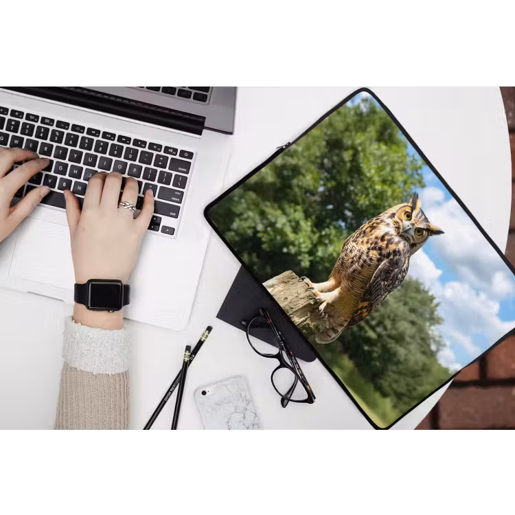 Uil - Boomstronk - Bos - Lucht laptophoes neopreen klein -bureau