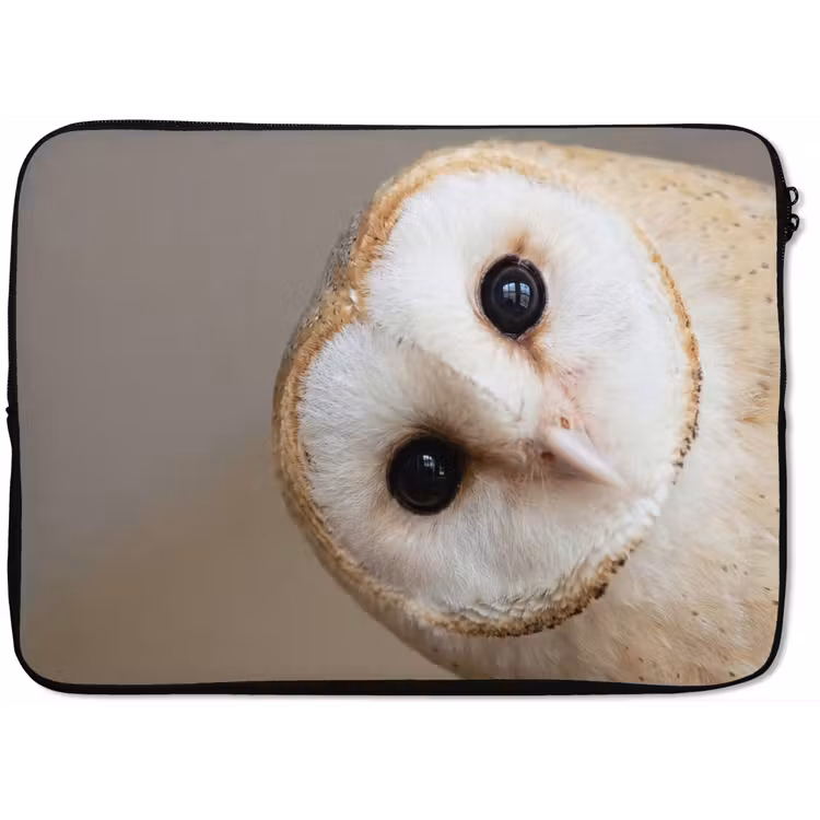 Uil - Bruin - Wit laptophoes neopreen klein -zkaufland3dotto