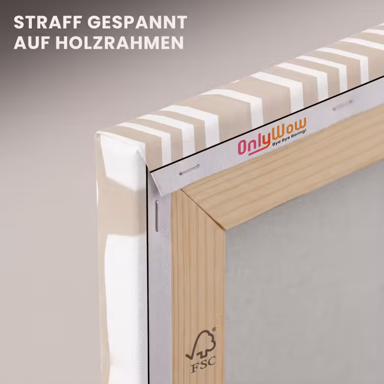 Abstract - Zebra - Beige canvas 2cm klein 34 -uniquesellingpoint_afwerking-onlywow_DE