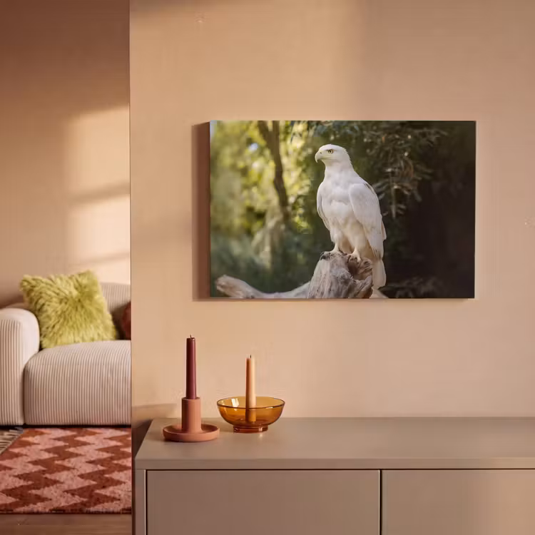 Arend - Hout - Wit - Planten canvas 2cm klein -sfeer1