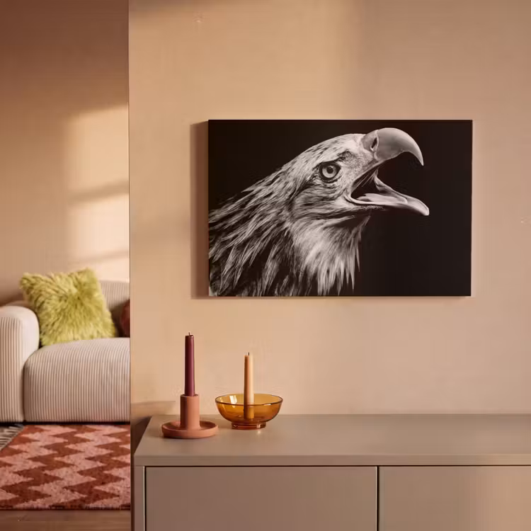 Adelaar - Portret - Roofvogels - Zwart - Wit - Vogel canvas 2cm klein -sfeer1