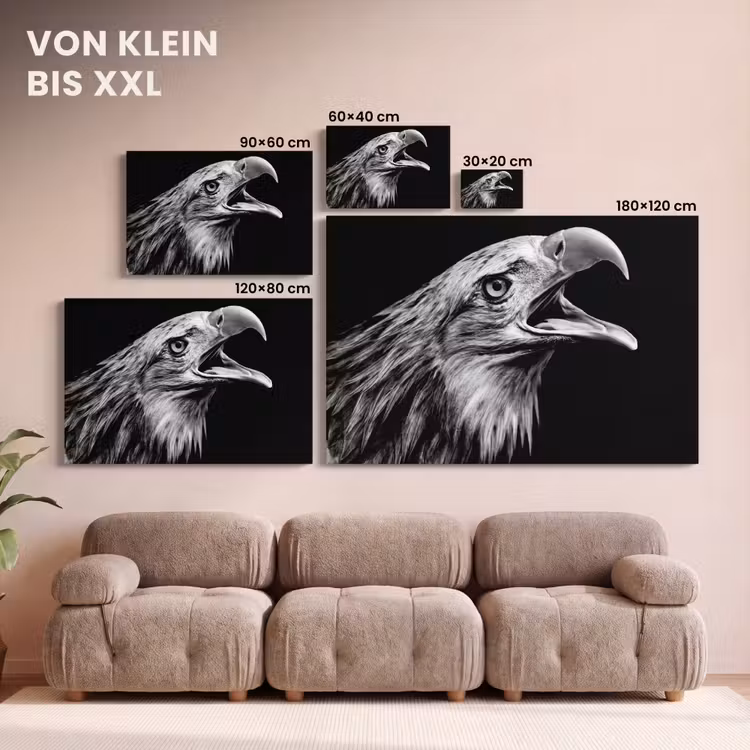 Adelaar - Portret - Roofvogels - Zwart - Wit - Vogel canvas 2cm klein -Xsfeer8_DE
