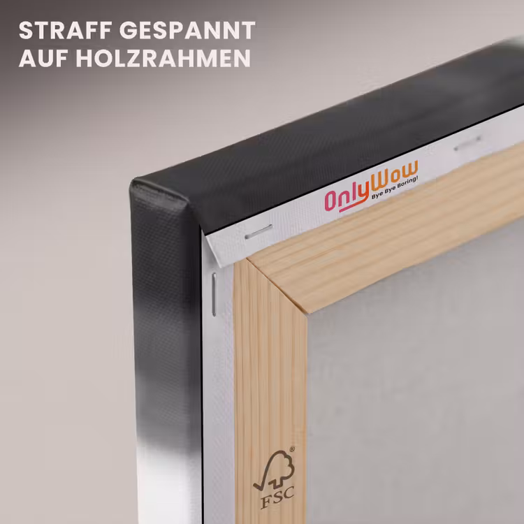 Aap - Spaghetti - Zonnebril - Zwart wit - Cool - Dier canvas 2cm klein -uniquesellingpoint_afwerking-onlywow_DE
