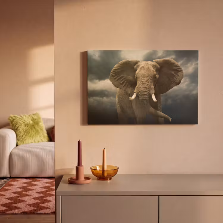 Afrikaanse olifant tegen de donkere wolken canvas 2cm klein -sfeer1