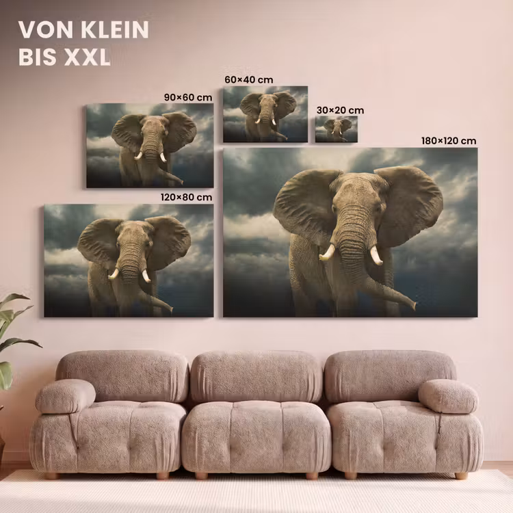 Afrikaanse olifant tegen de donkere wolken canvas 2cm klein -Xsfeer8_DE