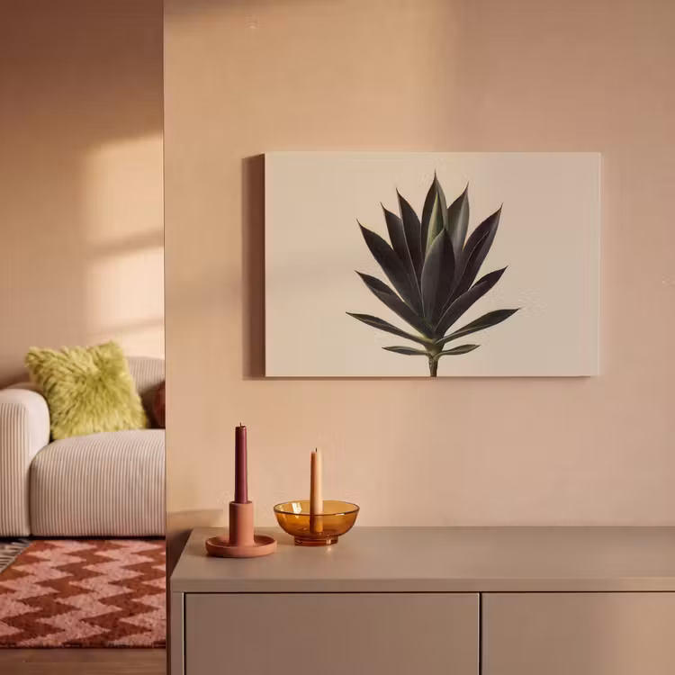 Agaveplant - Symmetrisch - Groen canvas 2cm klein -sfeer1