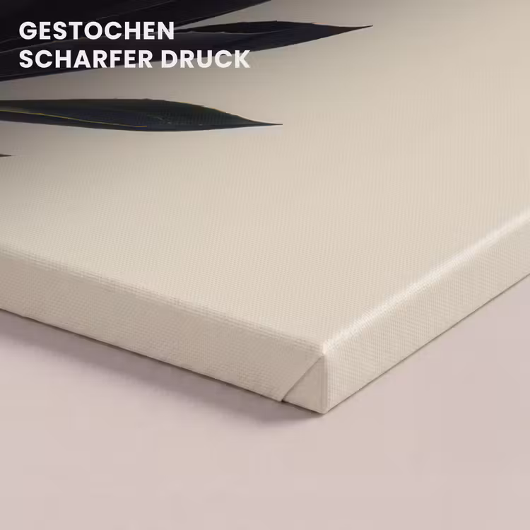 Agaveplant - Symmetrisch - Groen canvas 2cm klein -uniquesellingpoint_afwerking-onlywow_DE