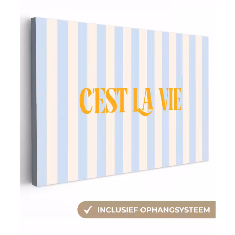 Alt: Oranje - Blauw - Strepen - C'est la vie canvas 2cm klein -3d