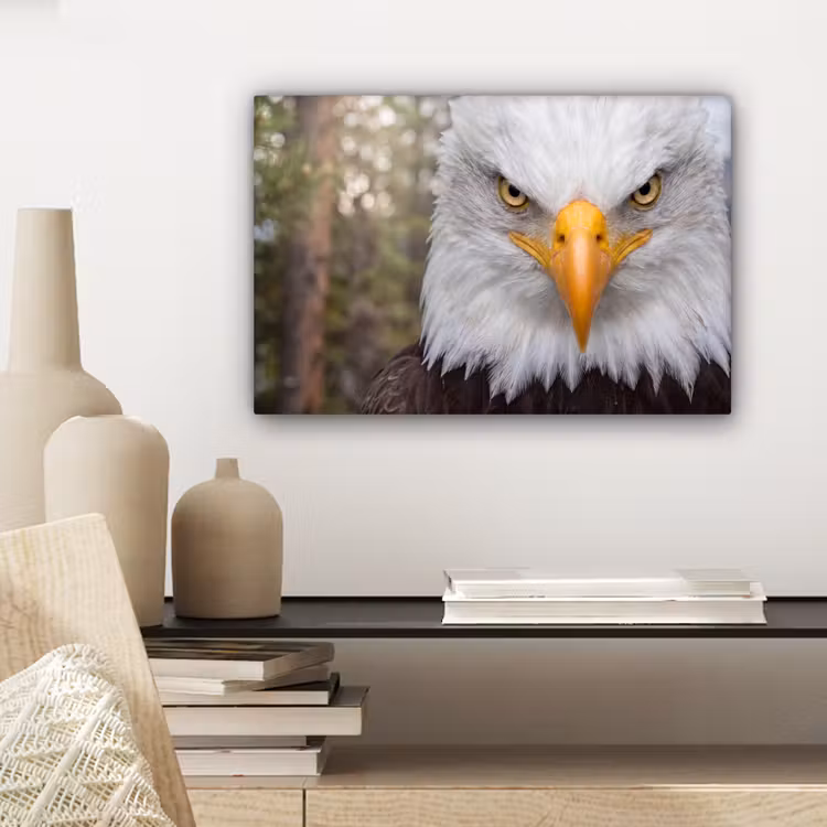 Amerikaans - Zeearend - Portret - Geel canvas 2cm klein -sfeer6