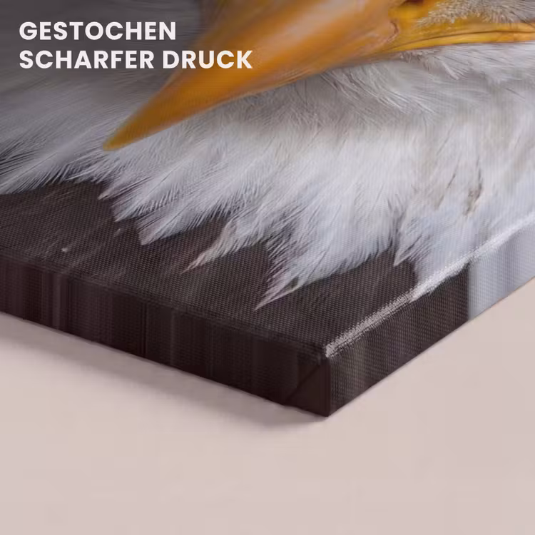 Amerikaans - Zeearend - Portret - Geel canvas 2cm klein -closeup_print_DE