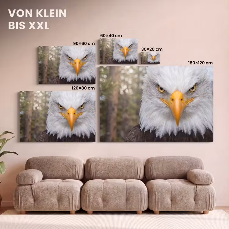 Amerikaans - Zeearend - Portret - Geel canvas 2cm klein -Xsfeer8_DE
