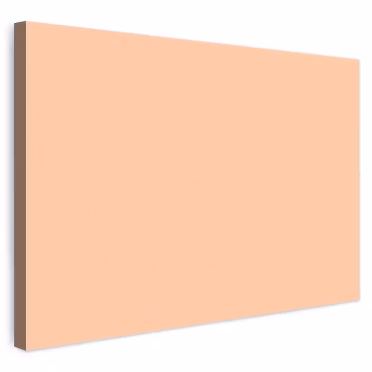 Apricot - Blush - Nude canvas 2cm klein 34 -3d