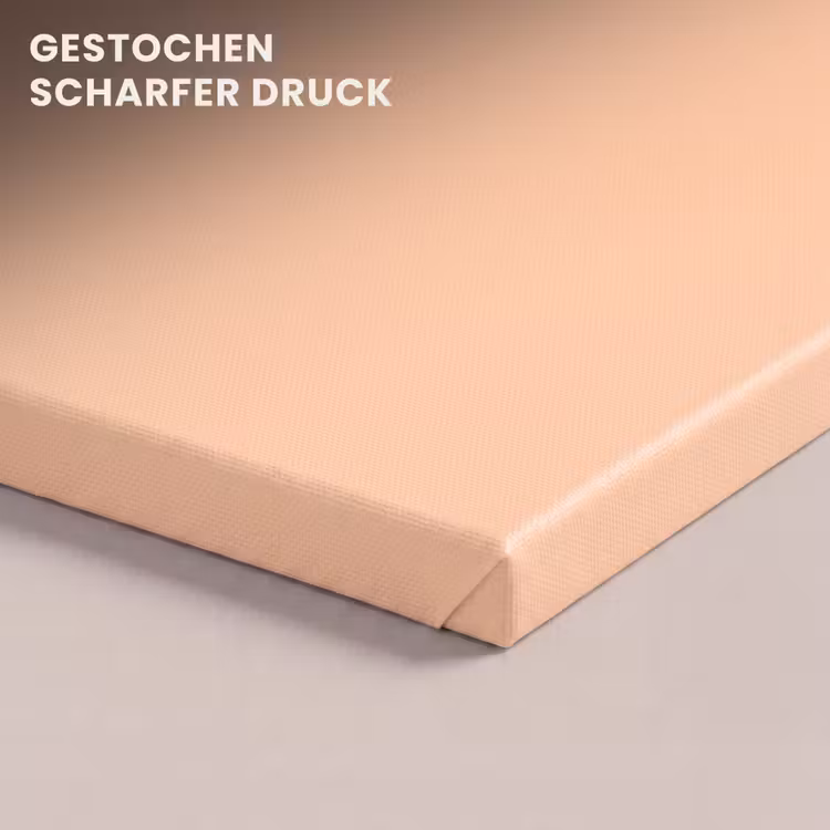 Apricot - Blush - Nude canvas 2cm klein 34 -closeup_print_DE