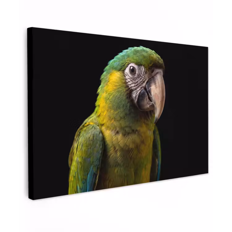 Ara - Portret - Groen canvas 2cm klein -z3d
