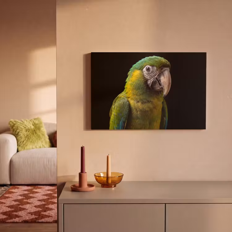 Ara - Portret - Groen canvas 2cm klein -sfeer1