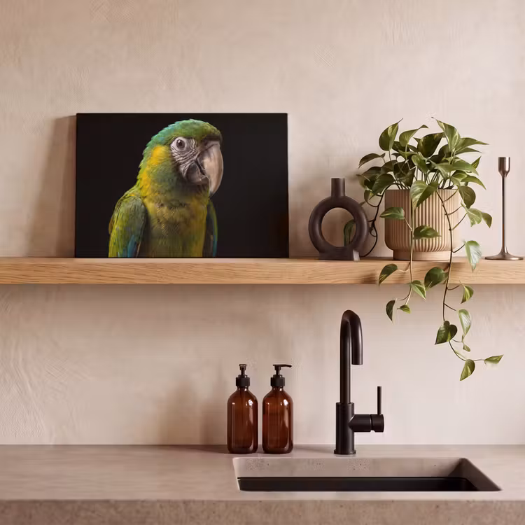 Ara - Portret - Groen canvas 2cm klein -sfeer3