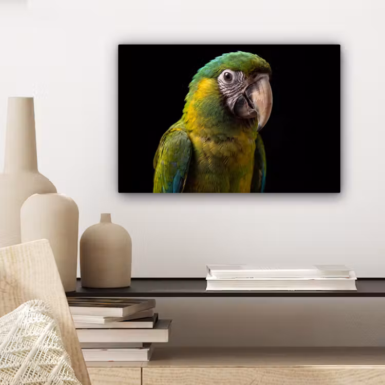 Ara - Portret - Groen canvas 2cm klein -sfeer6