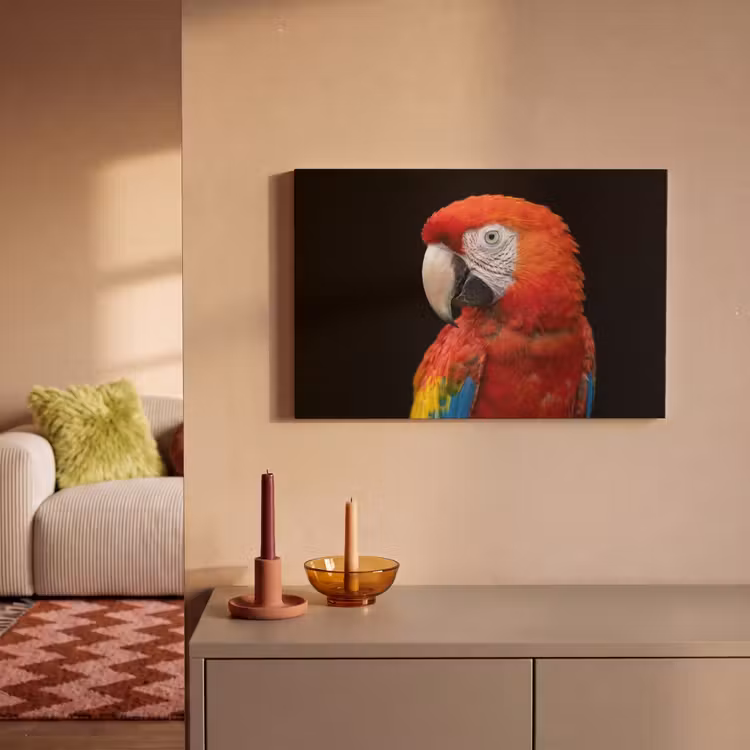 Ara - Portret - Rood canvas 2cm klein -sfeer1