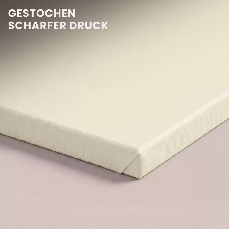 Arctic - Daisy - Nude canvas 2cm klein 34 -closeup_print_DE