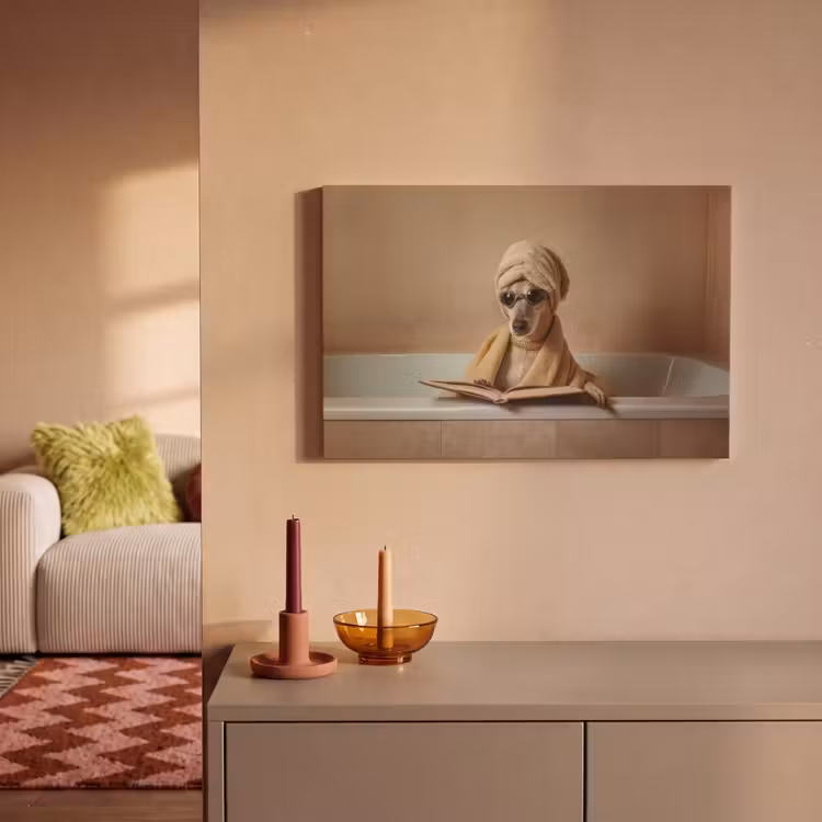 Bad - Hond - Boek - Zonnebril canvas 2cm klein -sfeer1