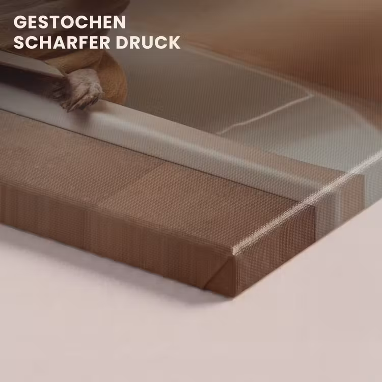 Bad - Hond - Boek - Zonnebril canvas 2cm klein -closeup_print_DE