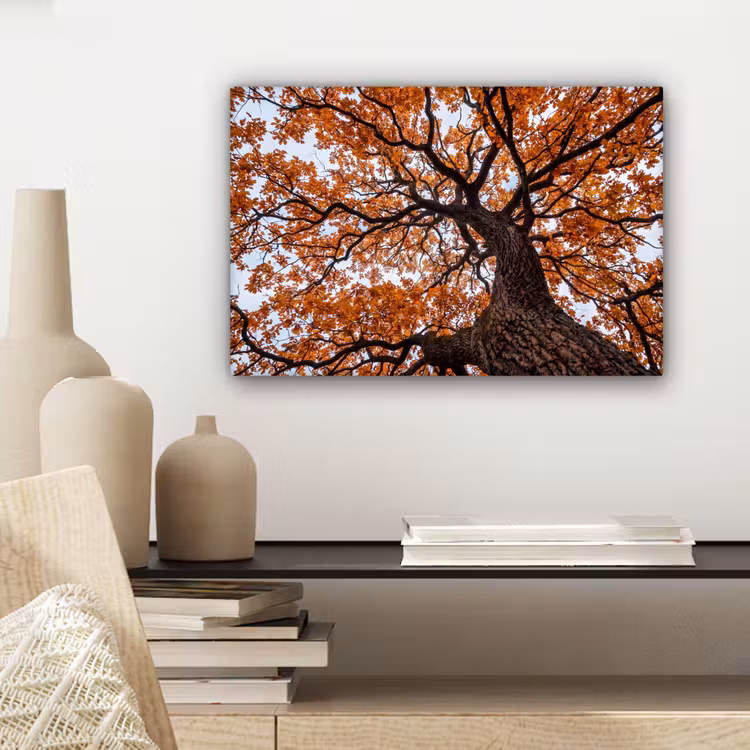 Boom - Bladerdak - Herfst - Oranje - Sfeervol canvas 2cm klein -closeup_print_DE