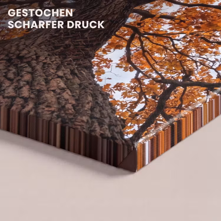 Boom - Bladerdak - Herfst - Oranje - Sfeervol canvas 2cm klein -uniquesellingpoint_afwerking-onlywow_DE