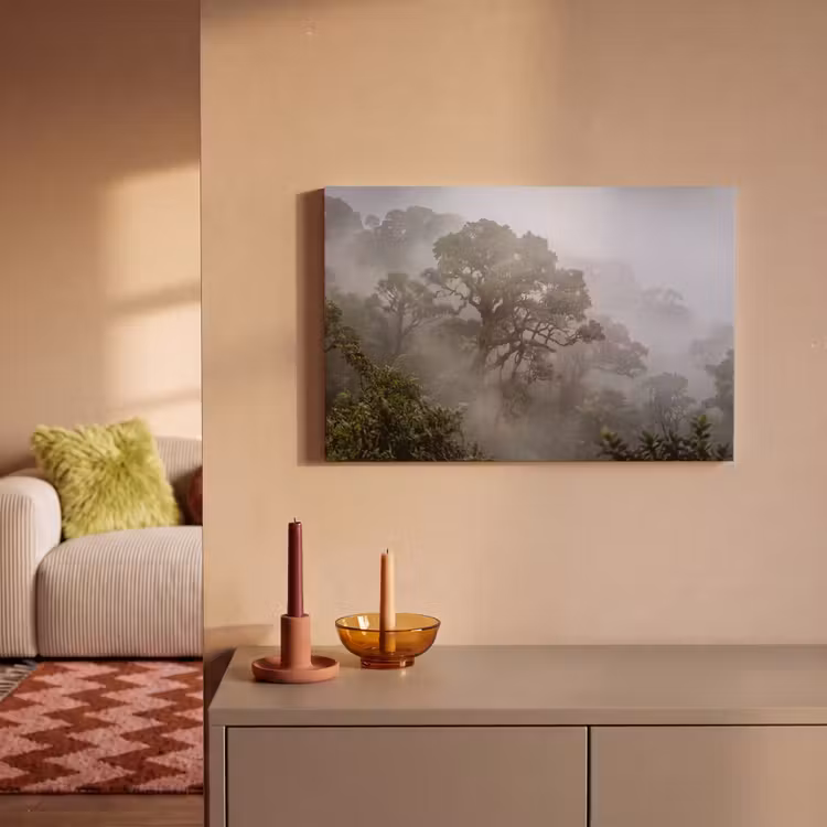 Boom - Mistig - Bos - Groen - Natuur canvas 2cm klein -sfeer1