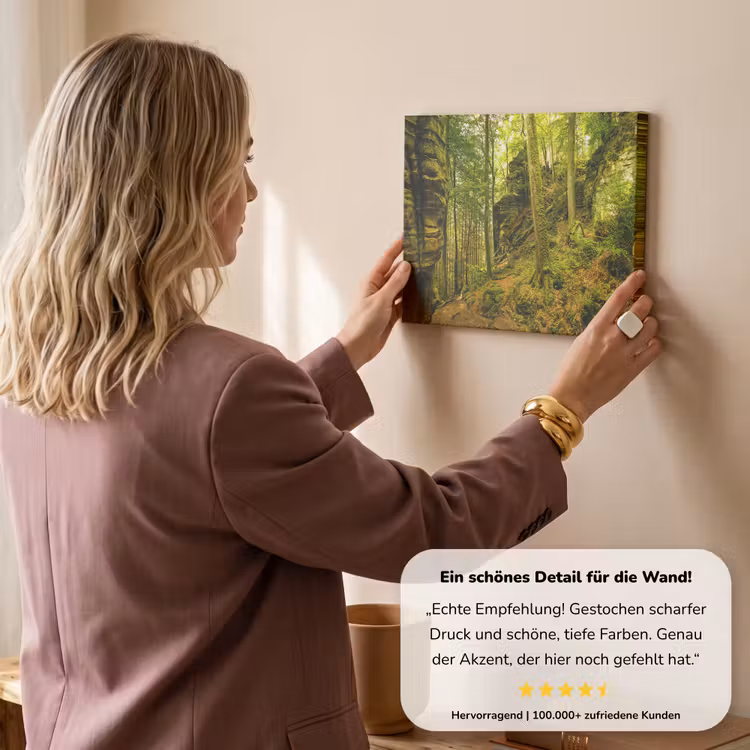 Bomen - Steen - Bos - Natuur - Planten canvas 2cm klein -sfeer3
