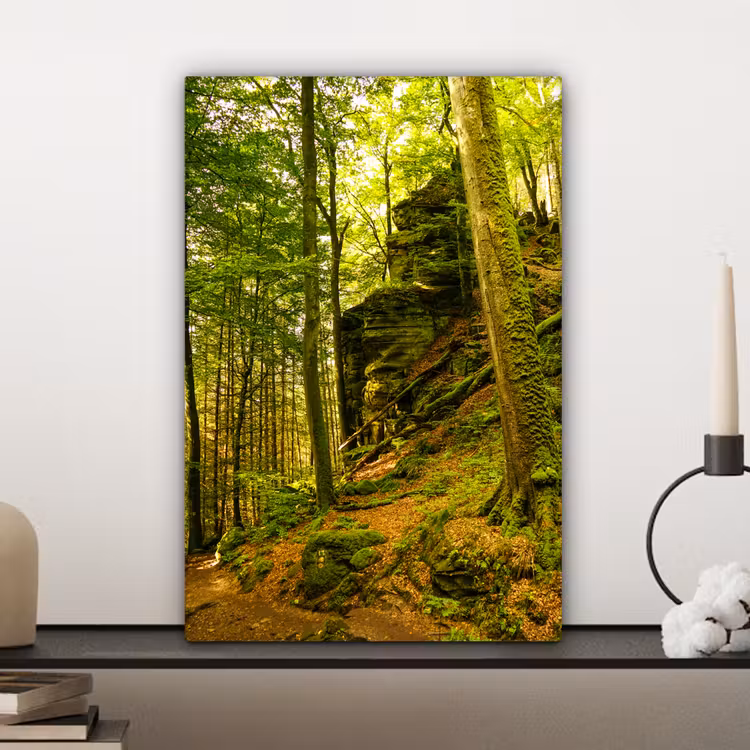 Bomen - Steen - Bos - Natuur - Planten canvas 2cm klein -closeup_print_DE