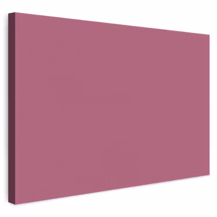 Berry - Roze -Pink canvas 2cm klein 34 -3d
