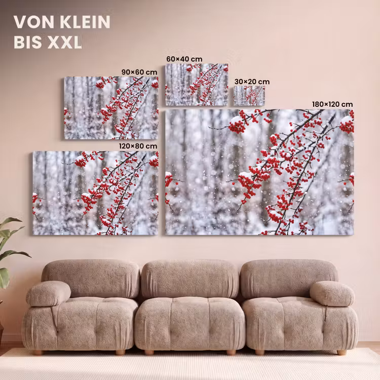 Bessen - Takken - Sneeuw - Winter - Kleurrijk canvas 2cm klein -Xsfeer8_DE